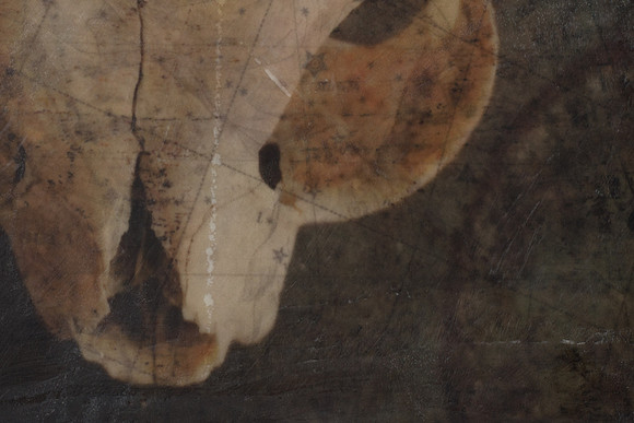 "Specimens", panel 1, detail