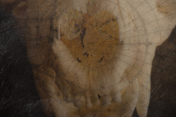 "Specimens", panel 14 detail