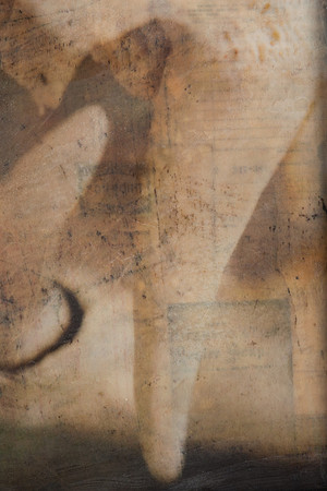 "Specimens", panel 9 detail