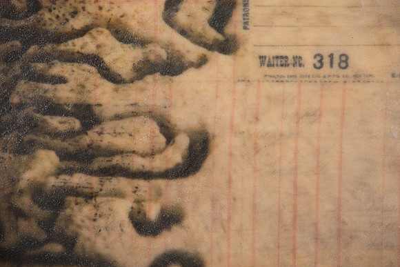 "Specimens", panel 8 detail