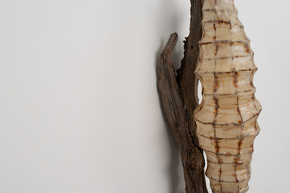 Cocoon, detail