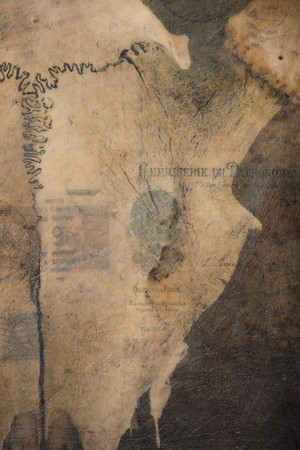 "Specimens", panel 11 detail