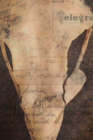"Specimens", panel 10 detail