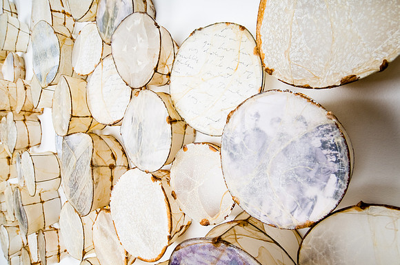 "Cells" (detail)