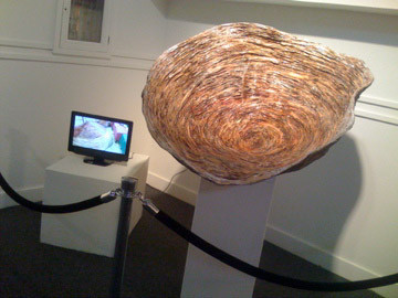"That Which is Empty, May Be Filled", SOLD