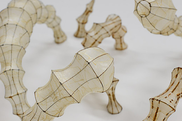 "Orifices", detail