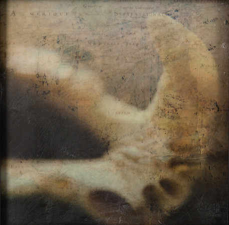 "Specimens", panel 7