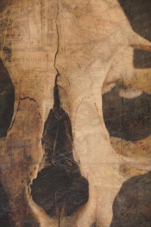 "Specimens", panel 3 detail