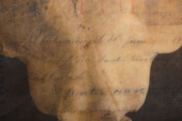 "Specimens", panel 5 detail