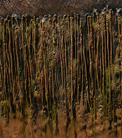 "Into the Depths" (detail)