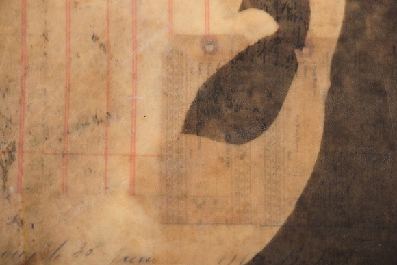 "Specimens", panel 5 detail