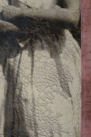 "Siblings", detail