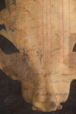 "Specimens", panel 5 detail