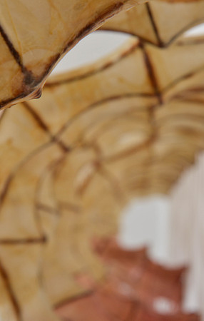 Viscera, detail