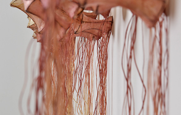 Viscera, detail