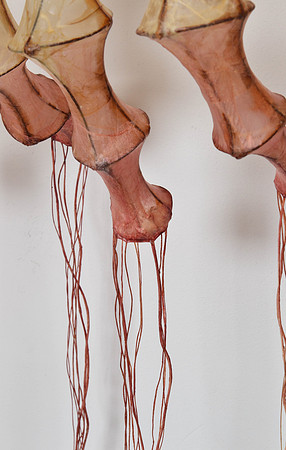 Viscera, detail