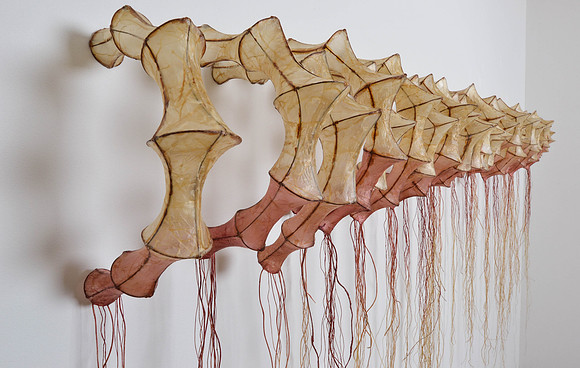 Viscera, detail