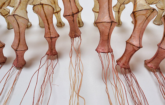 Viscera, detail