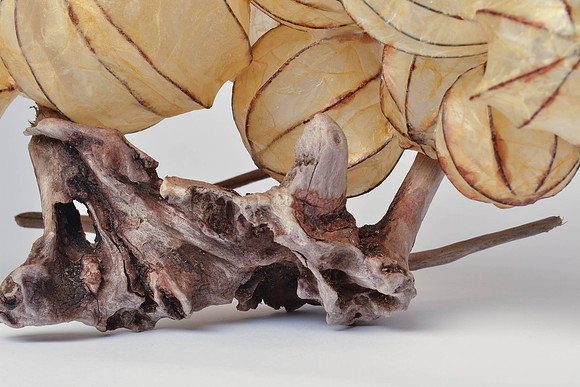 "Striated Integuments", detail