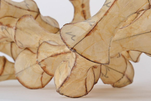 Rings, (two together), detail