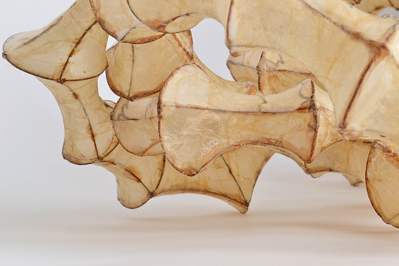 Rings, (two together), detail