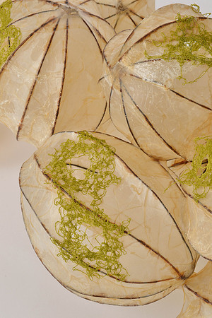 Openings, detail