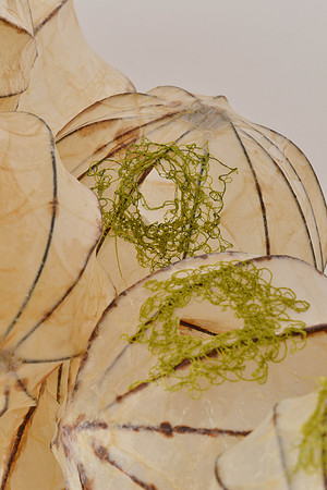 Openings, detail