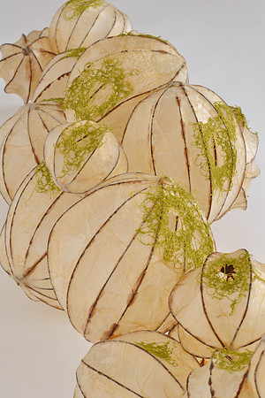 Openings, detail