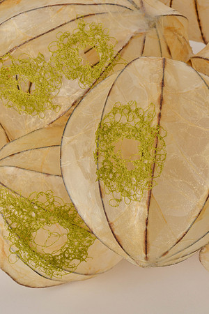 Openings (multiple clusters together), detail