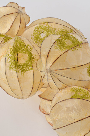 Openings #2, detail