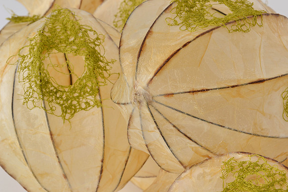 Openings #2, detail