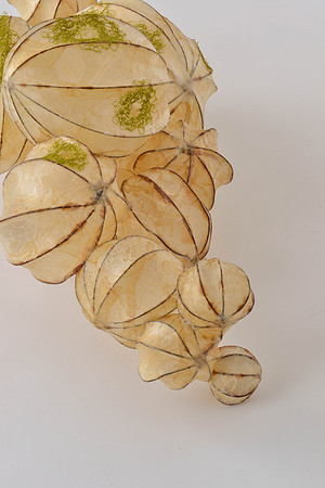 Openings #2, detail