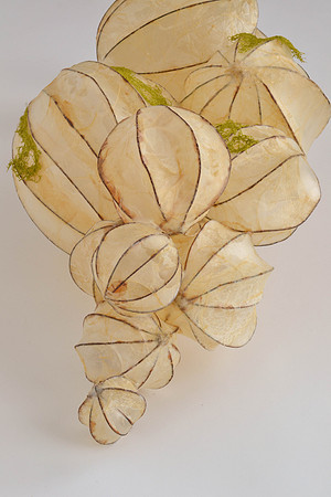 Openings #2, detail