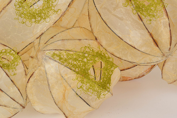Openings #2, detail