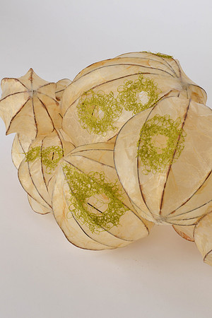 Openings #2, detail