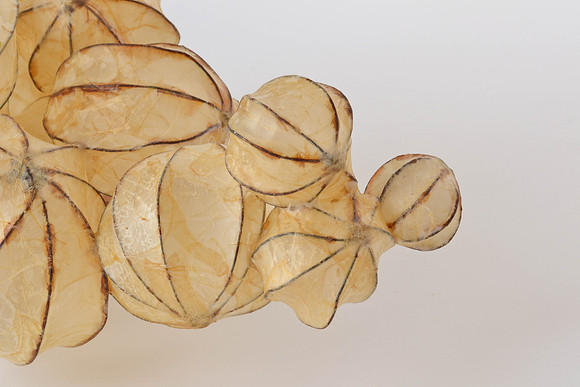 Openings #2, detail