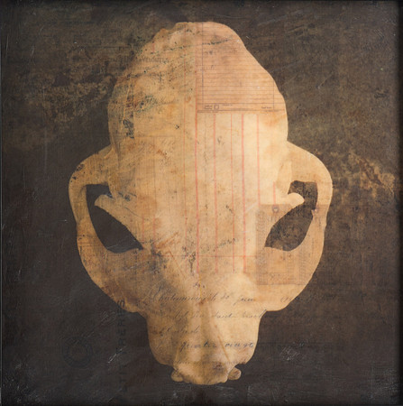"Specimens", panel 5