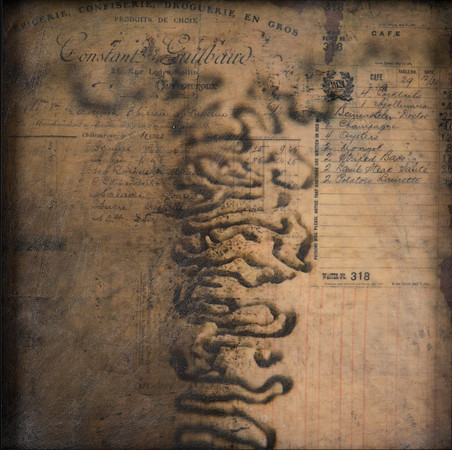 "Specimens", panel 8