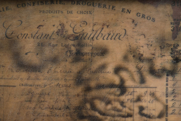 "Specimens", panel 8 detail