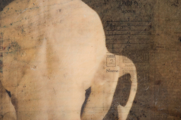 "Specimens", panel 6 detail