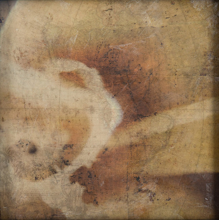 "Specimens", panel 4