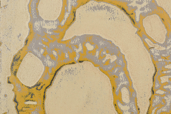Mental Recall, detail