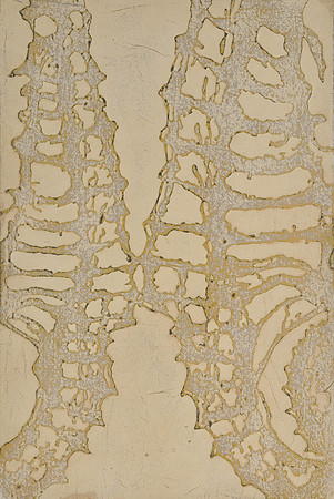 Sea Skeletons