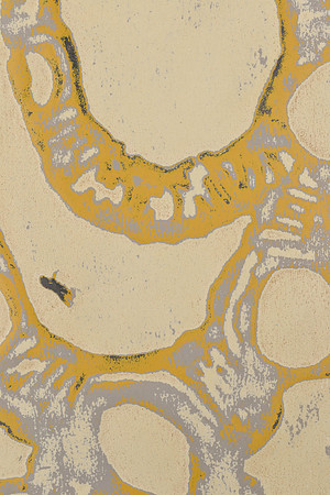 Mental Recall, detail