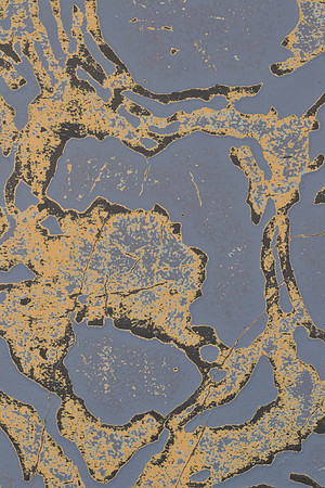 Coastline #2, detail