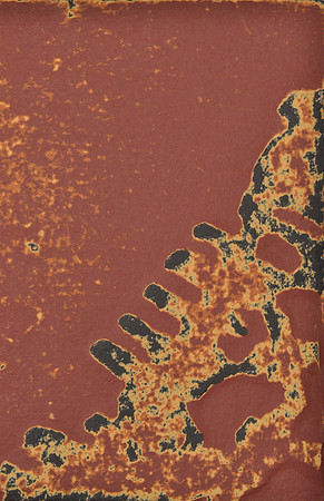 Cross Pollination #7, detail