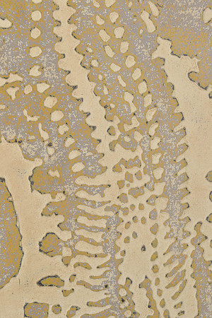 Urchin, detail