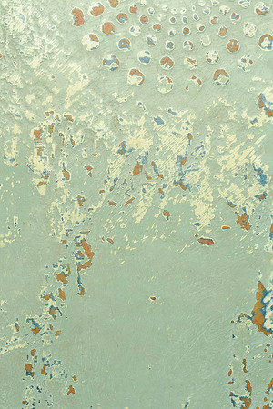 Cortex, detail