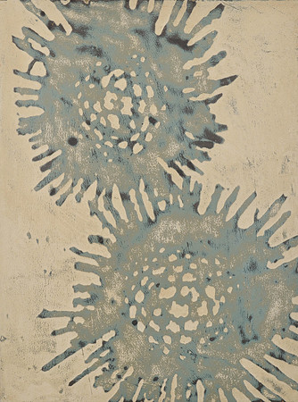 Spores