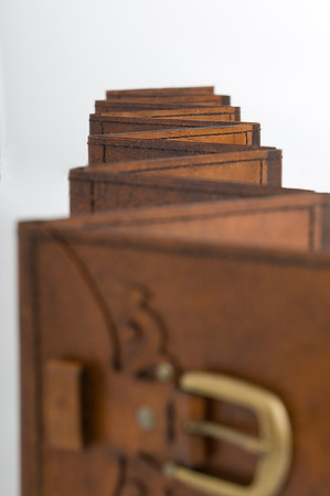 "Stages of Development" (detail)